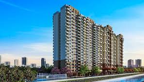 ANP Privado Baner Pune